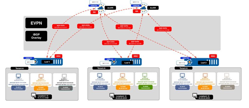 Arrcus_EVPN_iBGP_Demo_IPv4_Overlay