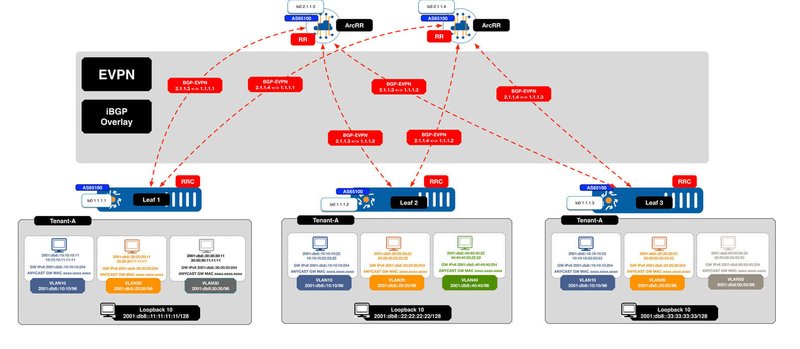 Arrcus_EVPN_iBGP_Demo_IPv6_Overlay