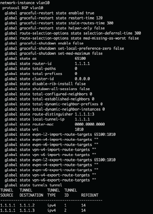 Figure-8-Show-Command-Output-for-MAC-VRF-VLAN10-1